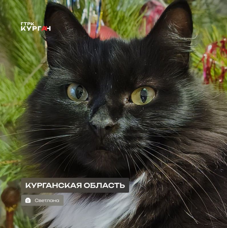 ������ ����, ���������!. ������� � ������� ���� ���� ����� ���� ����