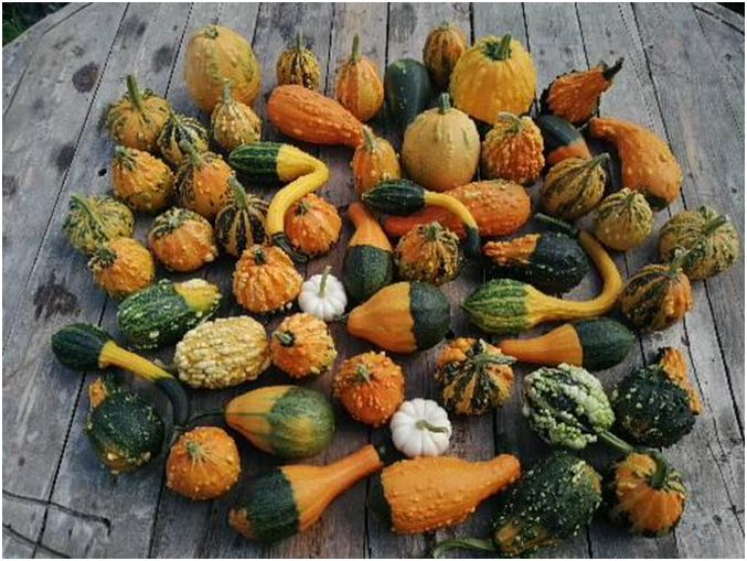 ��� � ��������� ���������� ������������ ����� � ������� ��� ��������!