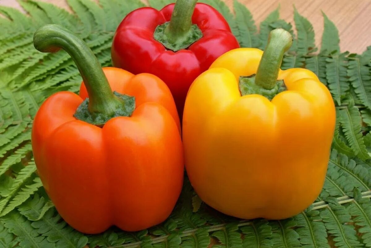 Сладкий и мясистый: топ сортов перца для ранней посадки