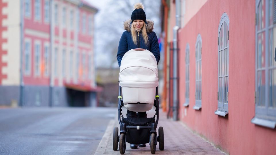 ����� ������� ��� ���������: ������ ������� � ������ � 2026 ����