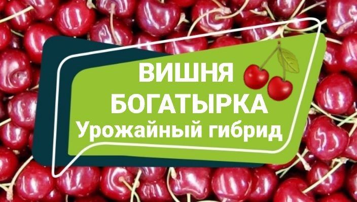 ����� ���������: ����� � ���� ������� ������