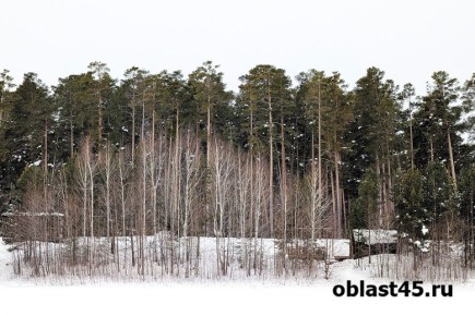 ����� ��� ������������ ���������� ������ 10 �������� ����� � ���������� �������