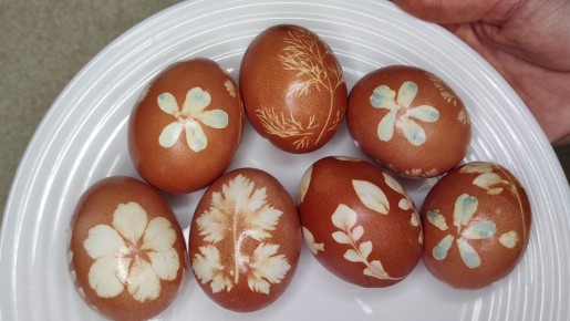 ���������� ����, ���������� ������� �������: ������� � �������� ������