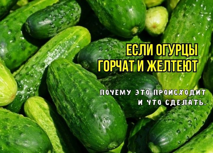 ������ ������ ������ � ����: ������� � ������ �� �����