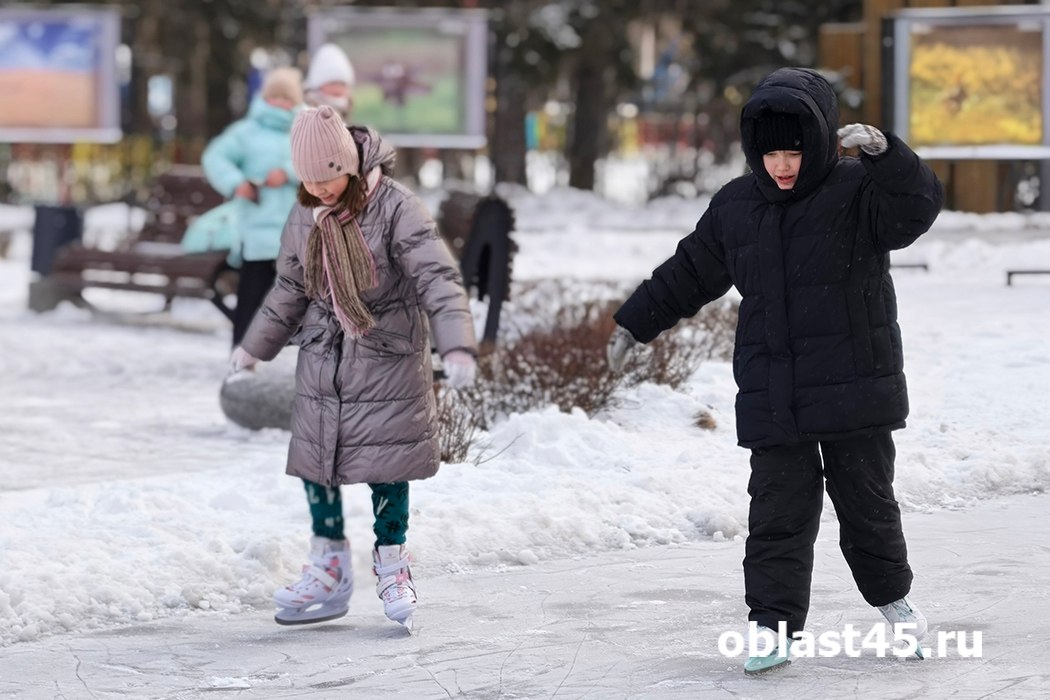 Мороз и солнце: Курган встретит 23 февраля арктическим вторжением