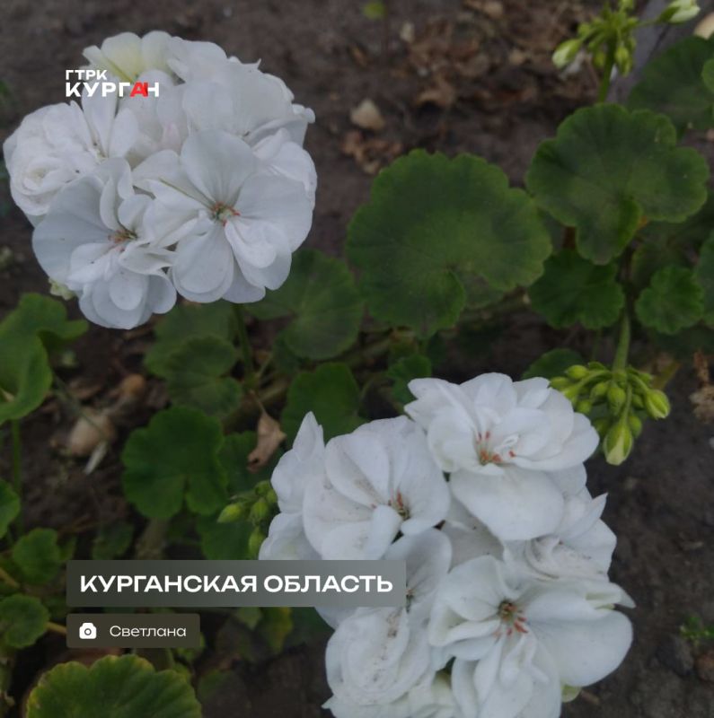 ������ ����, ���������! � ������� ����� ������!