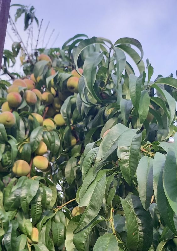 ��� ��������� �������� ������ ��������� � �������� � ������� ������ ������