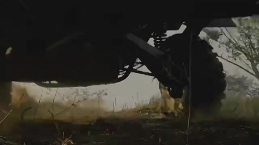 ������� ���������� � ���� ���� ���� ��������� �������� � ���� ��������� ���������