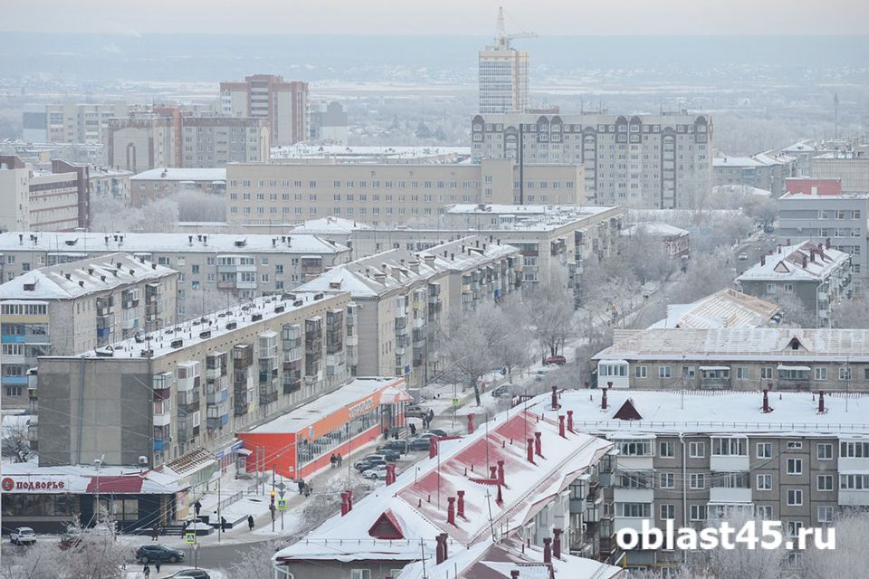 �� ������� ����� ���-�������������, Telegram � ������ ����� ����� �������������� - ������� �� 24 �������