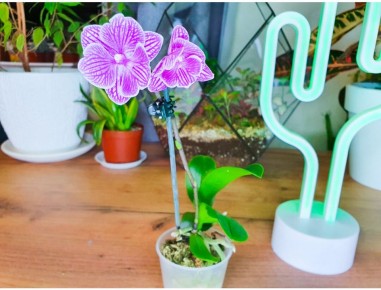 ��� ��������� ������� ������������ � �������� ������