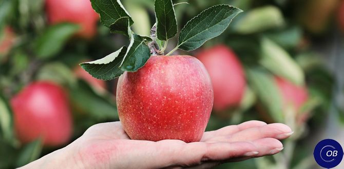 ��� ��������� ����������� ���: ������ ��� ��������� ������