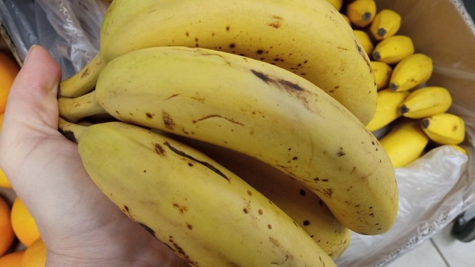 ��� ��������� ������ ������� ��������: ������ �� �������� ��������