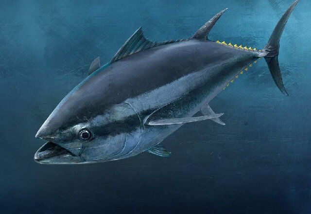 ��� ������� ����� �������� ����: 7 ����� �� ��� ����