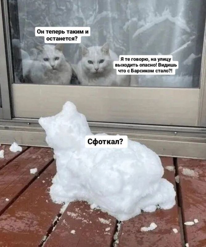 ������ �� 29� ������ � ���������� ������� ������