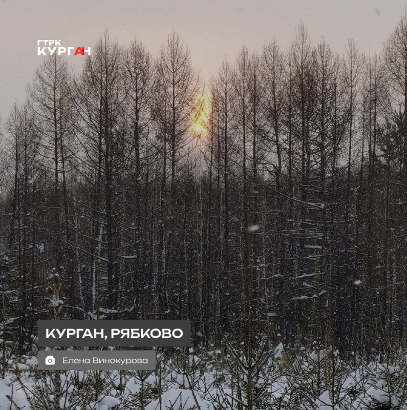 ������ ����, ���������!. ���� � ������� ������� ��������� � ��������