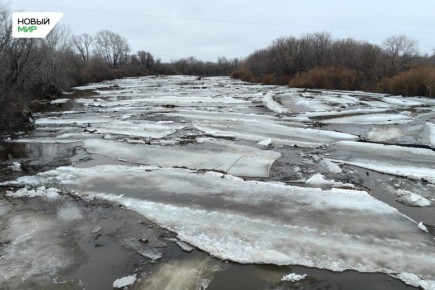 �� ����� �������� �������� �� �������� � �������