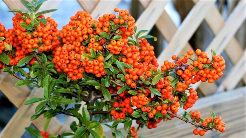 ��� ��������� ���������� ��� ��� ������� ���