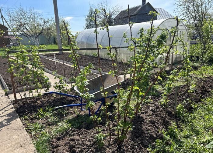 ��� ��������� �� ������������: ������������ ������ ��� ���������