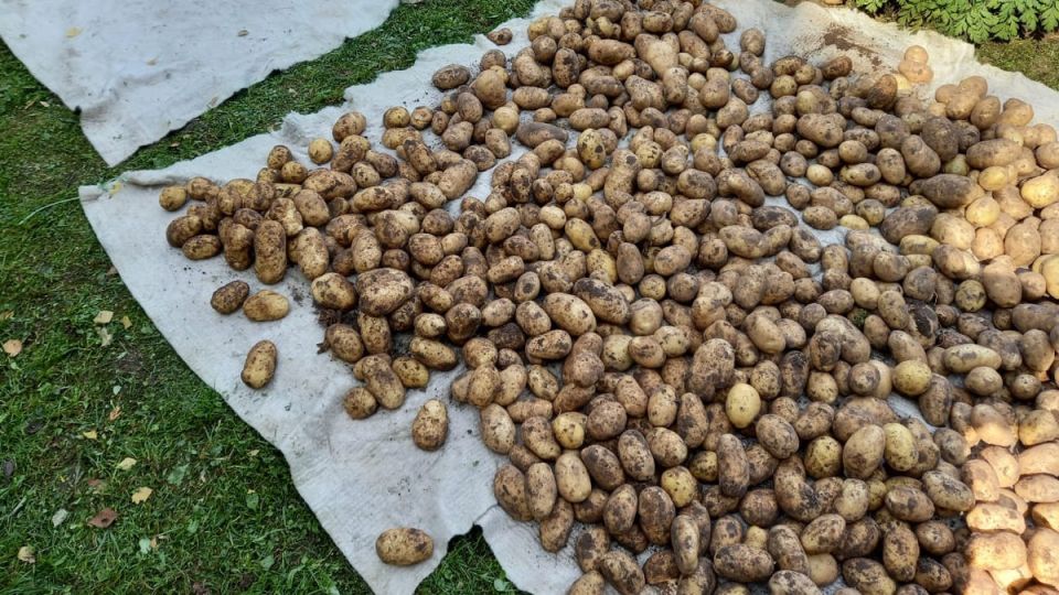 ��� �������� �������� ���������� ��������� ��������� ��� ������