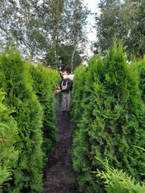 ��� ��������� ��� �������: ������� ��������� �����