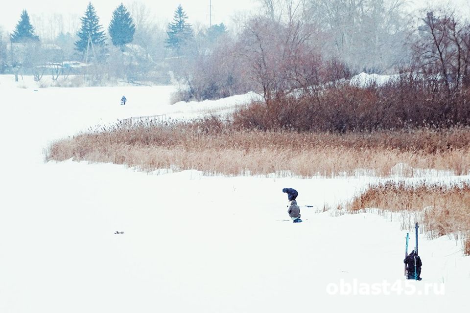 ���� � ���������� ������� ��������� ������ �������: ������� ��� ������� �� ��������������