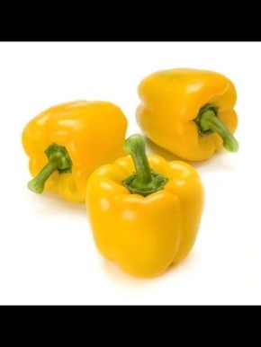 ����� ������: ��� ������ ���������� ����� ����������� �������