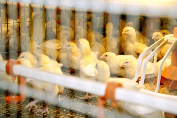 � ���������� ������� �� ������ 2026 ���� ����������� ��������� ����� � ������