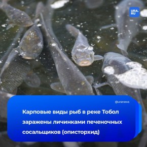 ��������� ���� ����������� ������� �� �����