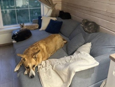 � ������� ��������� ����������� ����� �������� �������� � ���������