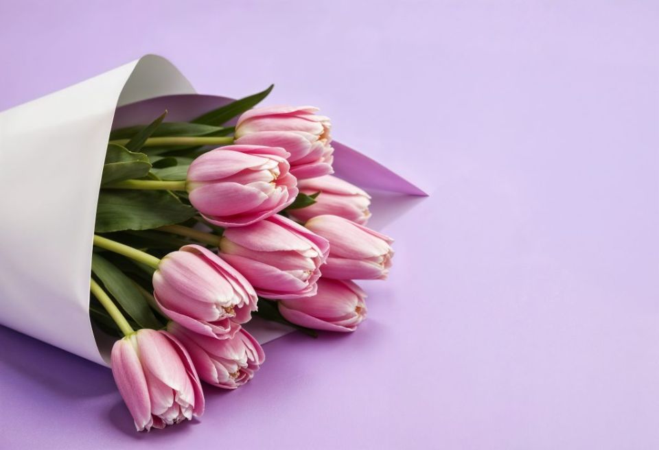 ���� �� ����� �� �������, �� ���������� ������� �� ����� ������� �������� � ���������� ������ ���������