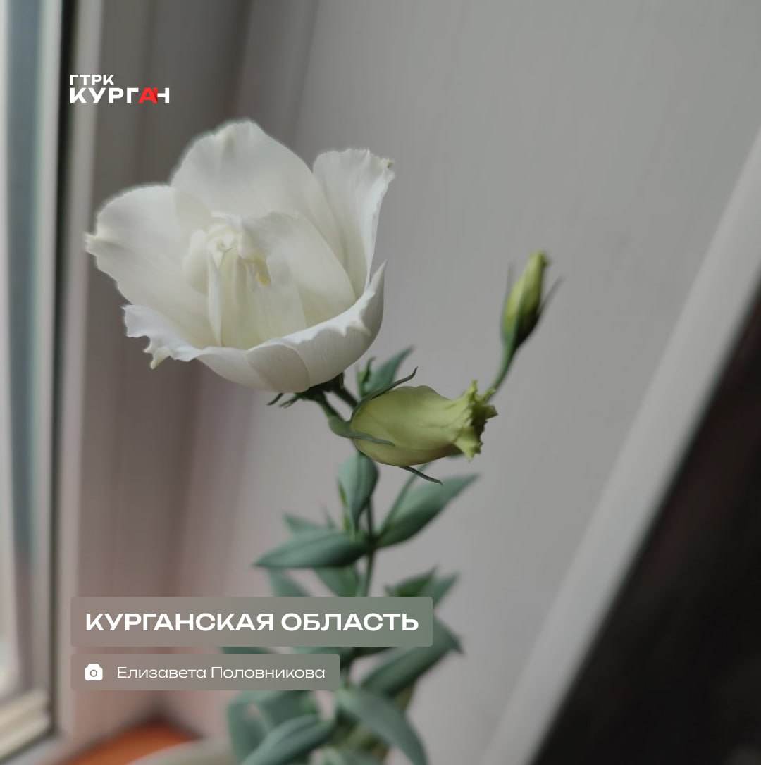 Доброе утро, зауральцы!. Сегодня в Кургане обещают ясную погоду