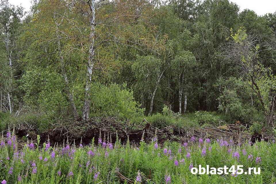 � ���������� ������� ��������� �� ����� ������� �� �������� � ���������� ����