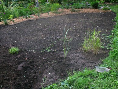 �����, ������� �������� ������: ������������ �������� � �������� ���������