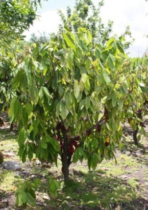 �����: ����� ������������� � ������ �� ������ ������������� ��������