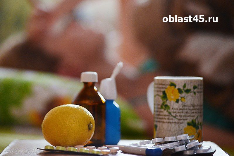 Курганцам рассказали, как обрести «богатырское здоровье»