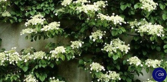 ����� ��� ���������� ������ ������ ����