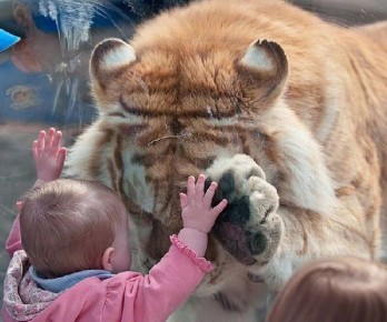 Почему доброта — это не всегда добродетель