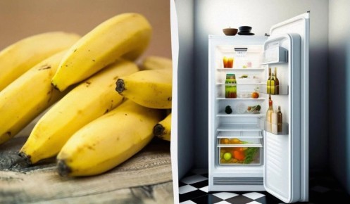 ��� ��������� ������ �������: ����� �� ��������