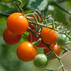 ��� ��������� �������� ������� � �� ��������� ������ �� ������