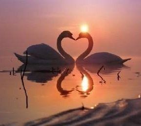 Как найти спутника жизни: ключ к успешному поиску