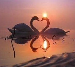 Как найти спутника жизни: ключ к успешному поиску