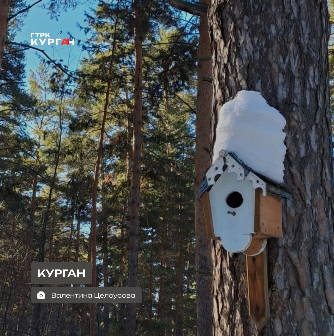 Доброе утро, зауральцы!. Сегодня в Кургане будет 15° днём, к ночи похолодает до 26°