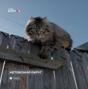 ������ ����, ���������! � ������� �����!