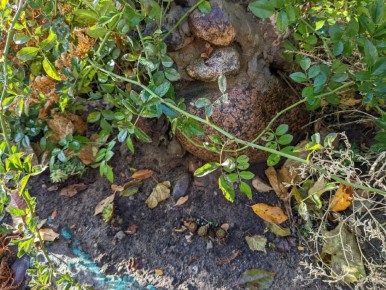 ������� ��������: ��� ��������� �� ������������ � ������ �������