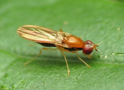 ����������� �������� ��� ������ �� ��� � ����� ����