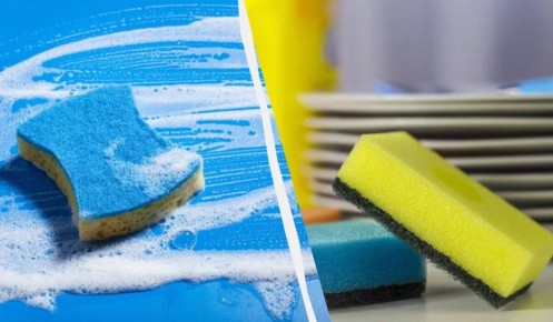 Как быстро вернуть губке для посуды первозданную чистоту
