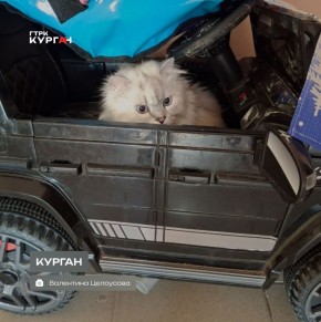 Доброе утро, зауральцы! С началом новой недели!