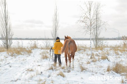 ����� � ��� ��������� ������� ���������� ������� ����� �������� �� ���������