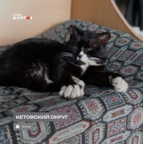 ������ ����, ���������!. ���� � ������� ������� ���������