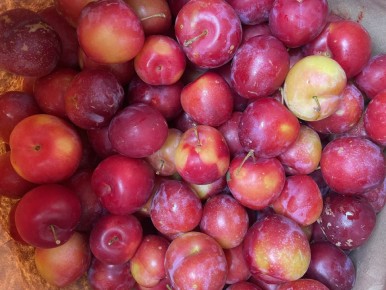 ���������� ������������ ����: ��� ��������� � ����� ���������?